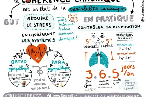 Schéma expliquant l'exercice de cohérence cardiaque pour débutant : contrôler sa respiration pour réduire le stress et équilibrer le système nerveux.