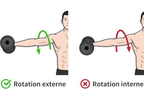Rotation externe pour muscler les épaules : mouvement correct avec haltère. Rotation interne : mouvement incorrect.