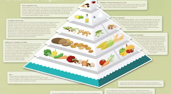 Pyramide alimentaire végétalienne : huiles, noix et graines sont une source de lipide essentielle.