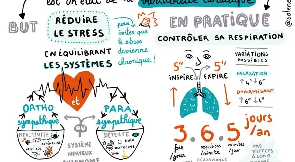 Schéma expliquant l'exercice de cohérence cardiaque pour débutant : contrôler sa respiration pour réduire le stress et équilibrer le système nerveux.
