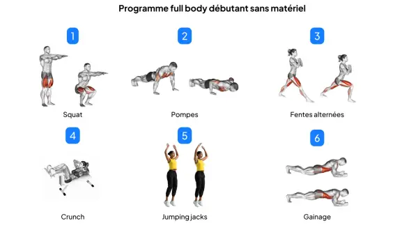 Programme de musculation à la maison pour débutants : squats, pompes, fentes, crunchs, jumping jacks et gainage.