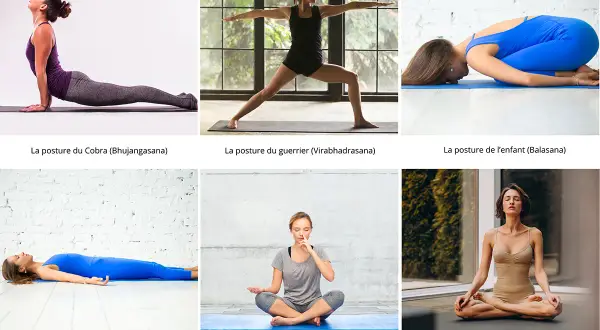 Six postures de yoga, dont le Cobra et le guerrier, parfaites pour un yoga hivernal apaisant.