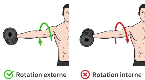 Rotation externe pour muscler les épaules : mouvement correct avec haltère. Rotation interne : mouvement incorrect.