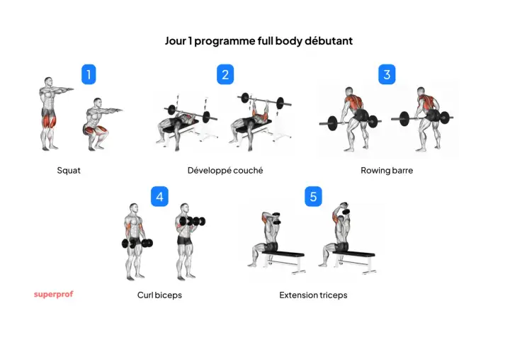 Musculation au poids du corps - le programme pour débuter